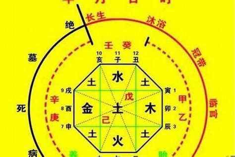 八字喜木|八字喜用神查询